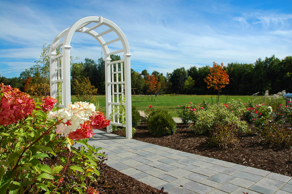 Portfolio Image