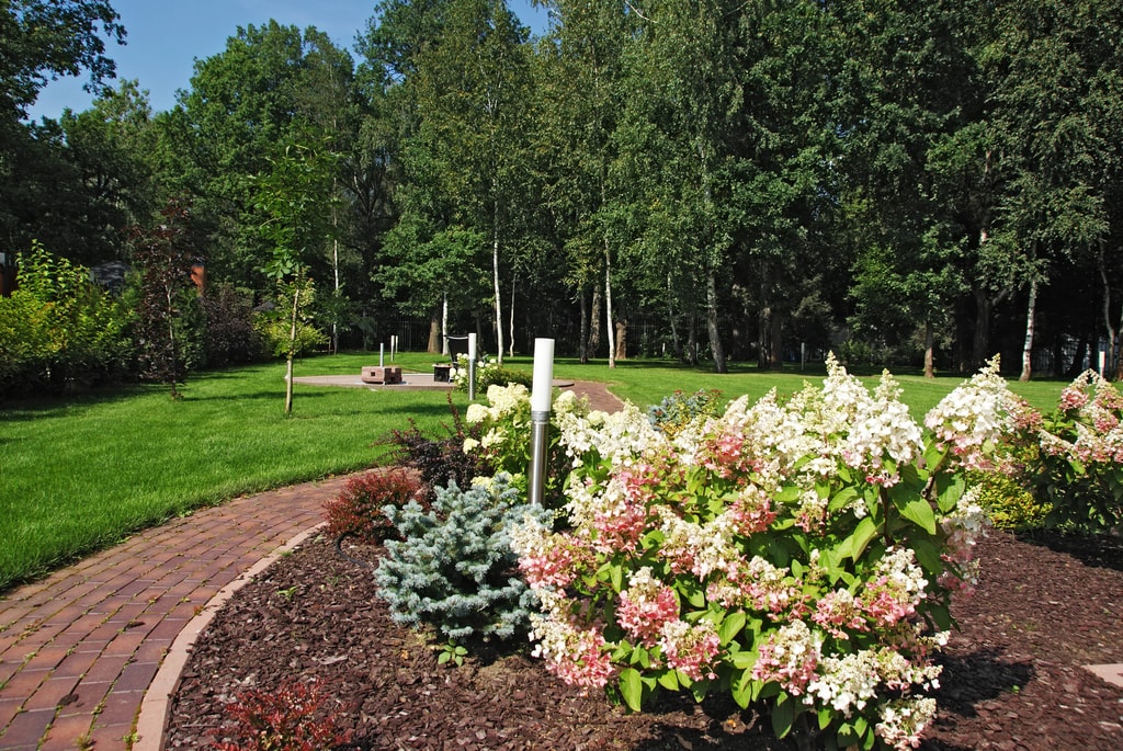 Portfolio Image