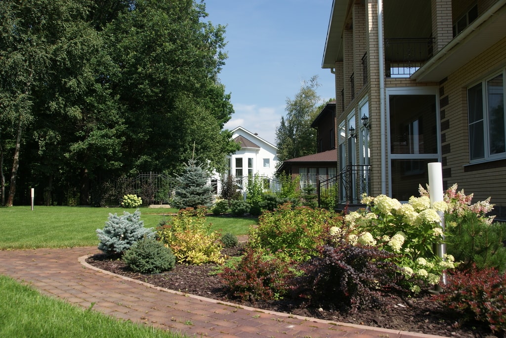 Portfolio Image
