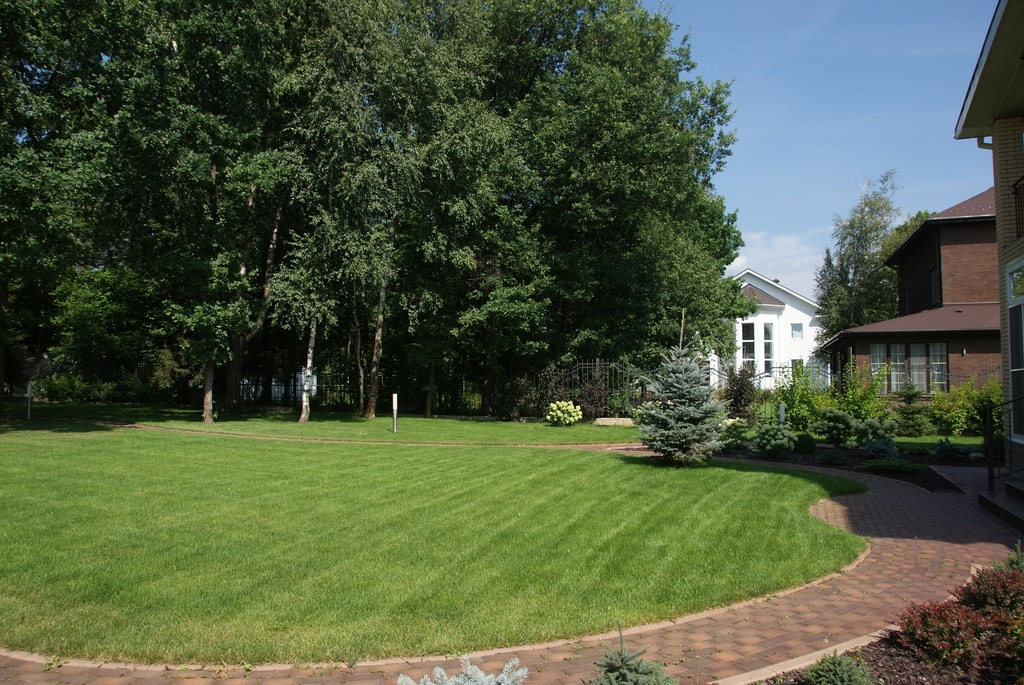Portfolio Image