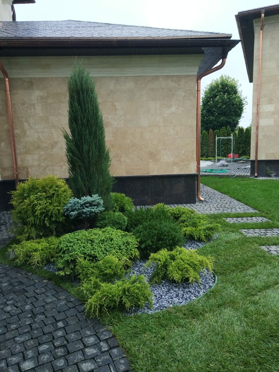 Portfolio Image