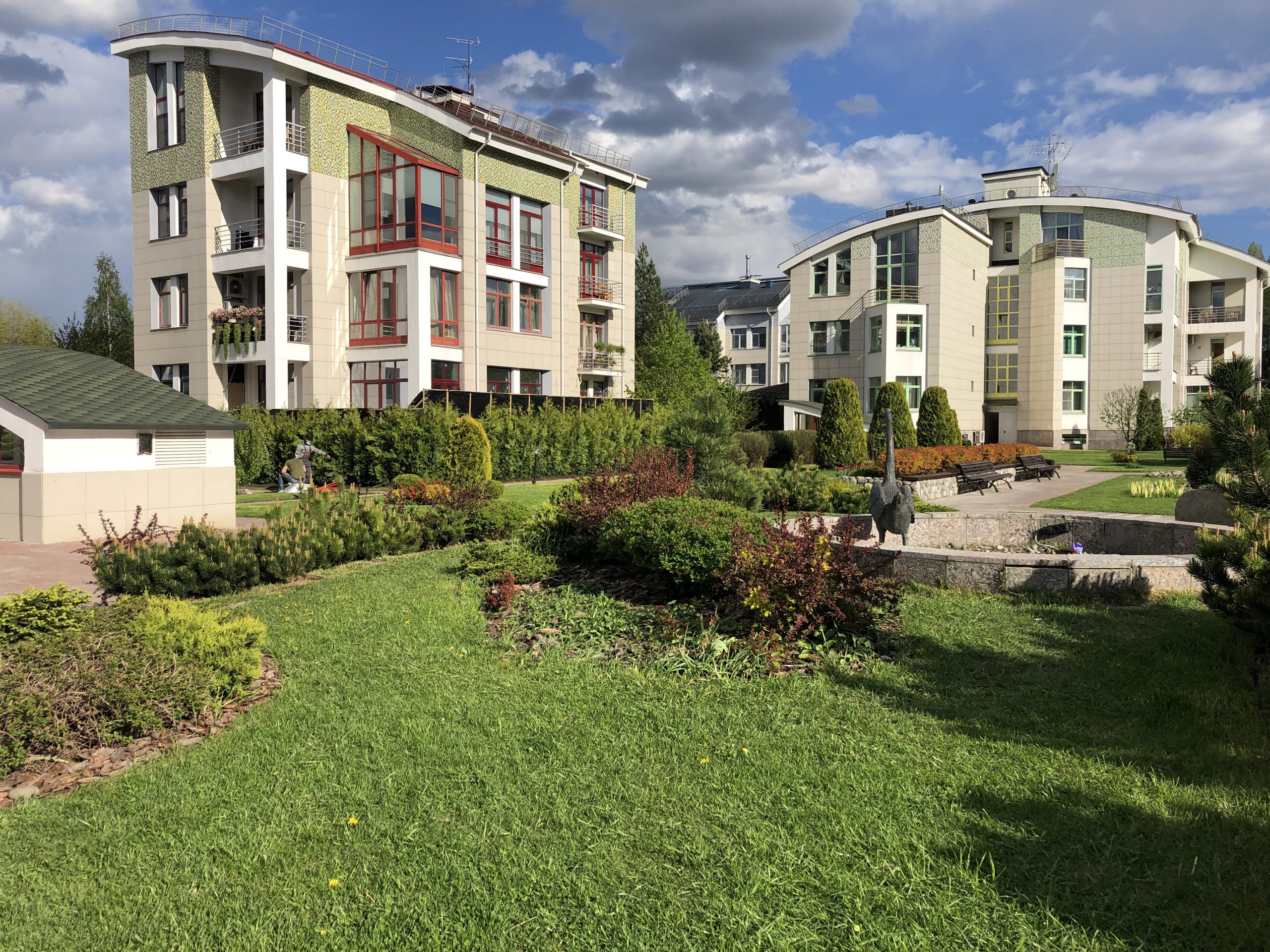 Portfolio Image