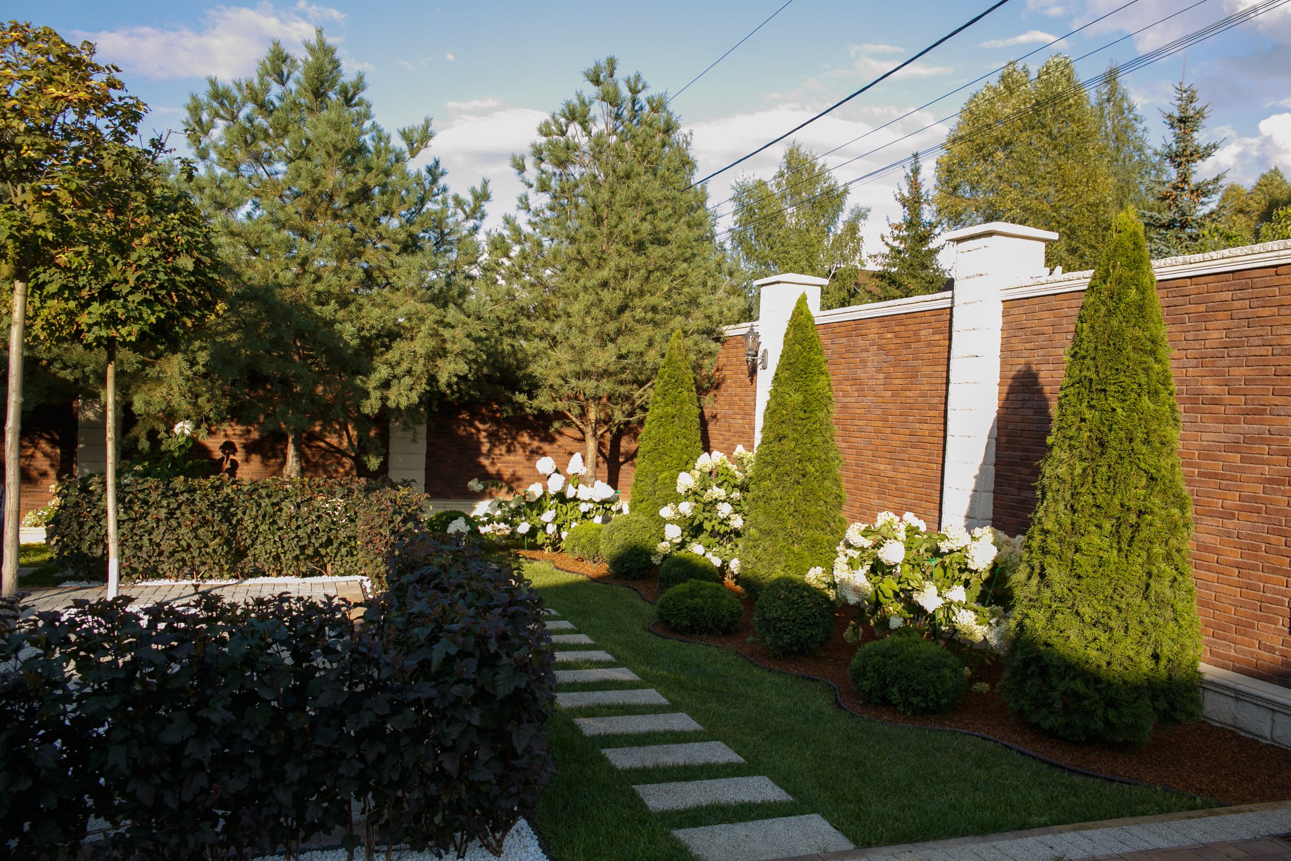 Portfolio Image