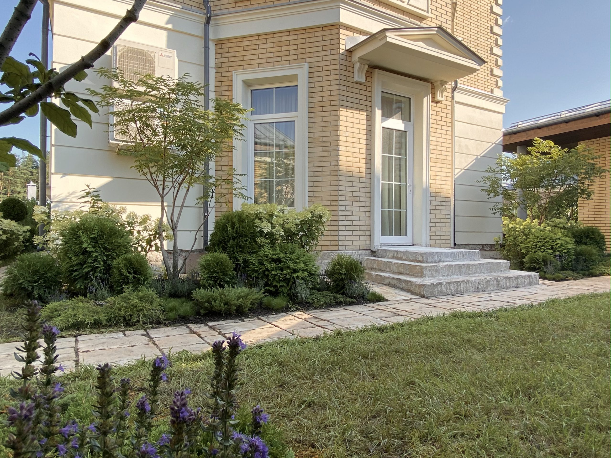 Portfolio Image