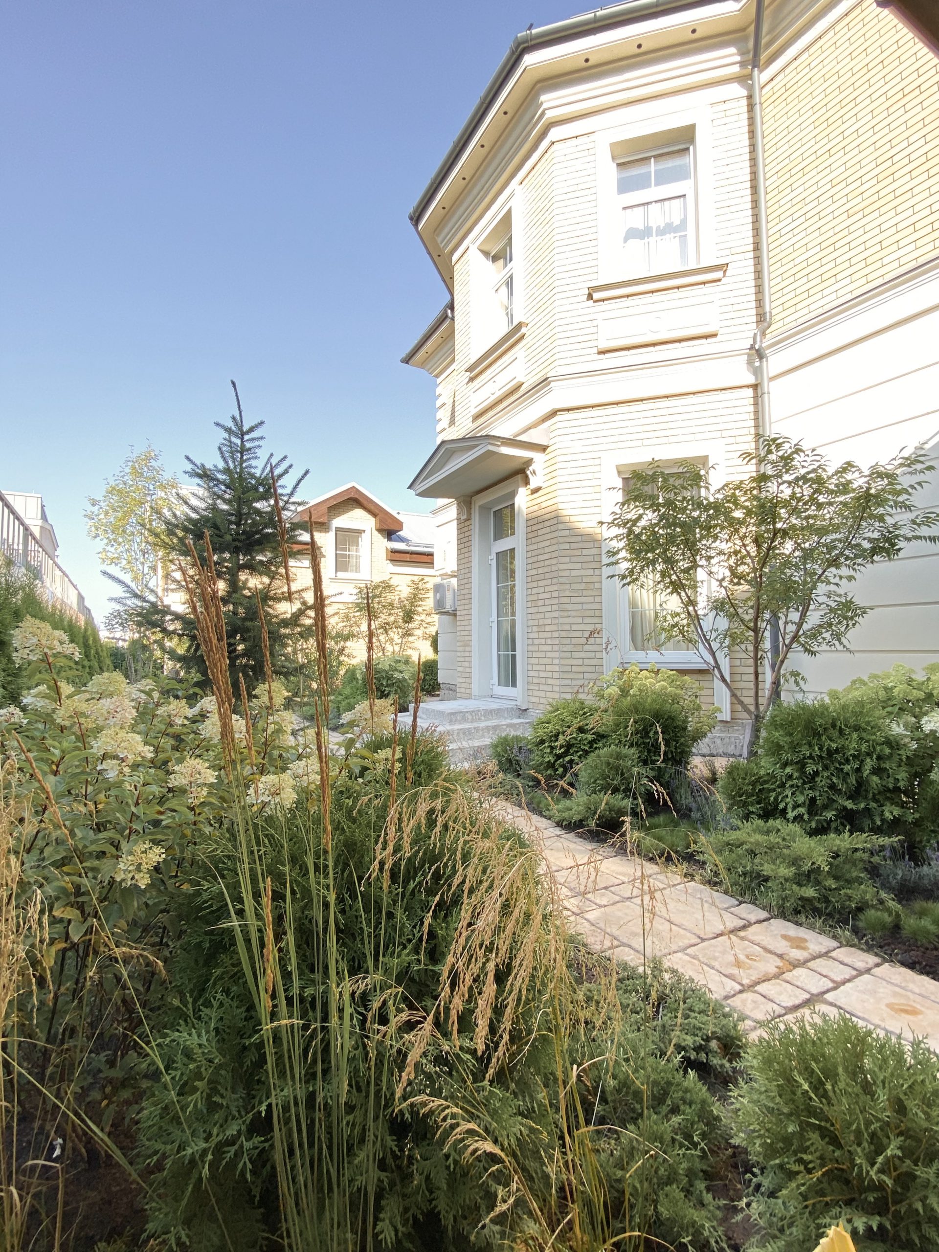 Portfolio Image