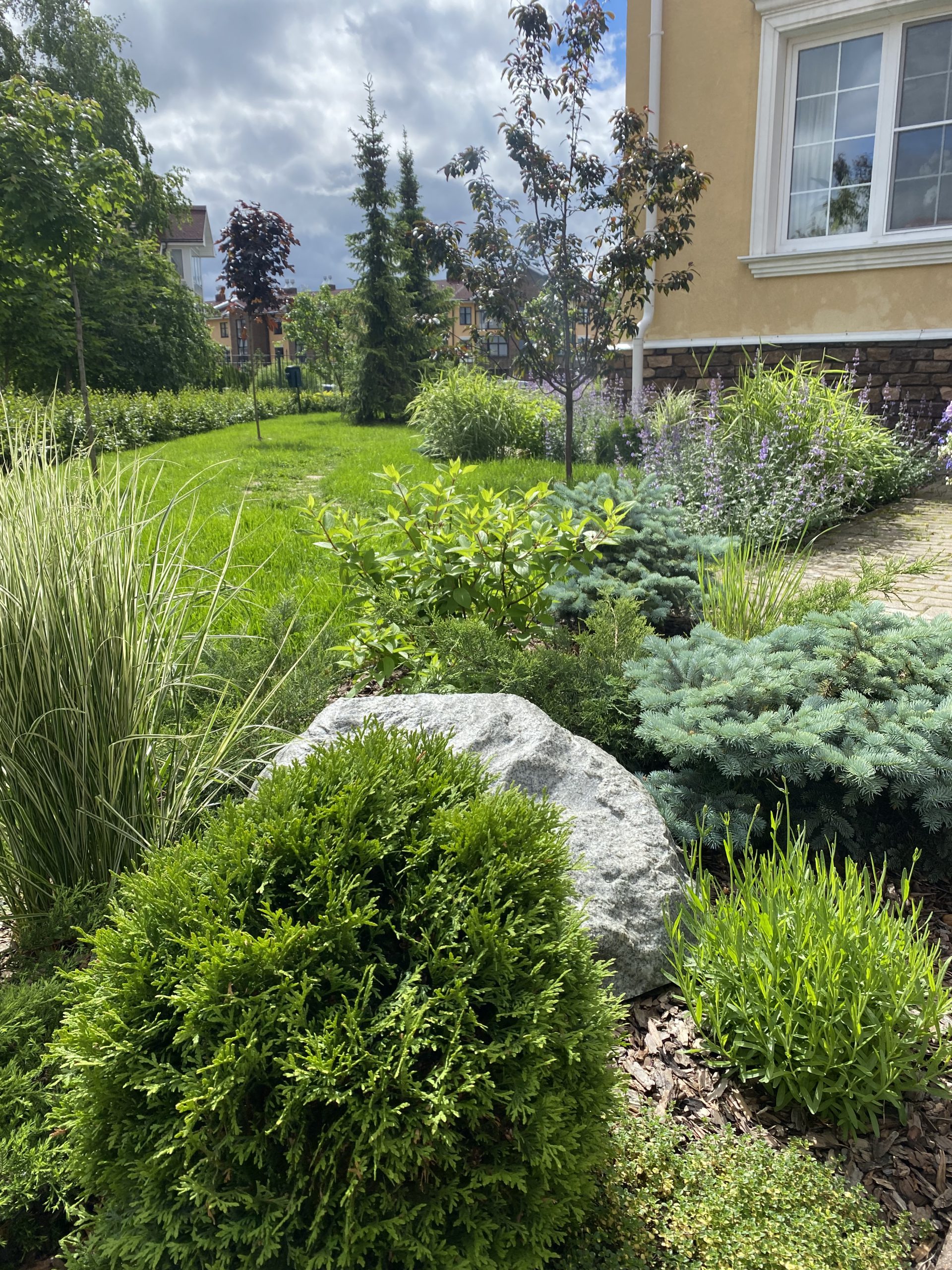 Portfolio Image