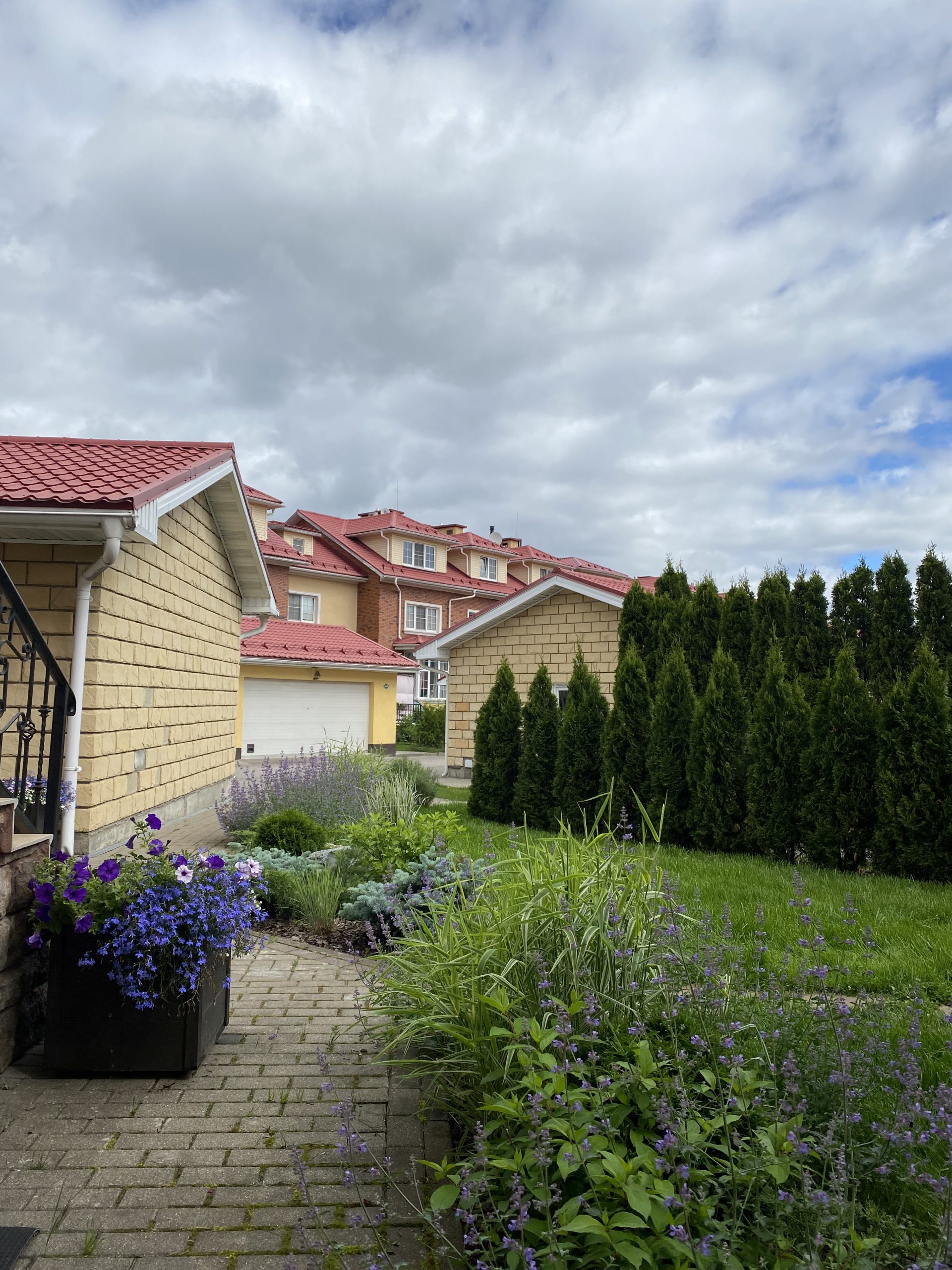 Portfolio Image